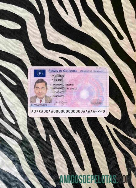 França DL fotovisual frontal baixar para verificação